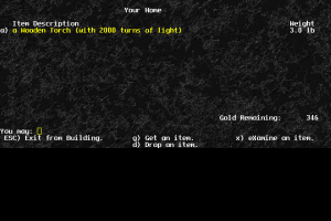 Zangband 5