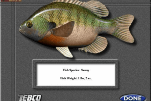 Zebco Pro Fishing 3D 3