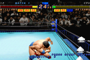 Zen-Nihon Pro Wrestling Featuring Virtua 9