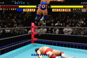 Zen-Nihon Pro Wrestling Featuring Virtua 11