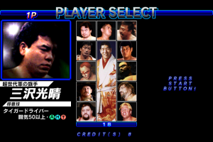 Zen-Nihon Pro Wrestling Featuring Virtua 2
