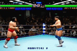Zen-Nihon Pro Wrestling Featuring Virtua 3