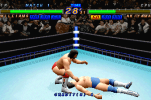 Zen-Nihon Pro Wrestling Featuring Virtua 4