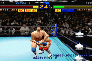 Zen-Nihon Pro Wrestling Featuring Virtua 7