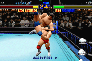 Zen-Nihon Pro Wrestling Featuring Virtua 8
