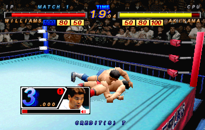 Zen-Nihon Pro Wrestling Featuring Virtua 13