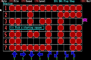 Zig Zag Flag Shag 2