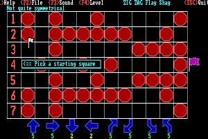 Zig Zag Flag Shag 5