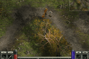 GoldenLand: Cold Heaven 18