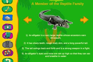 Zoo Animals 2