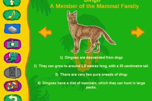 Zoo Animals 3