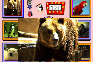 Zoo Explorers 5