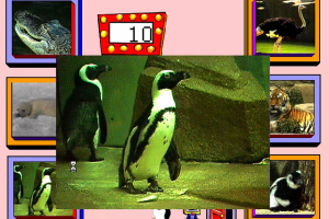 Zoo Explorers 6