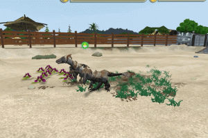 Zoo Tycoon 2 7