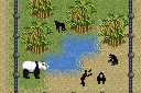 Zoo Tycoon 2 Mobile 3