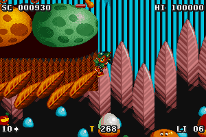 Zool 2 9